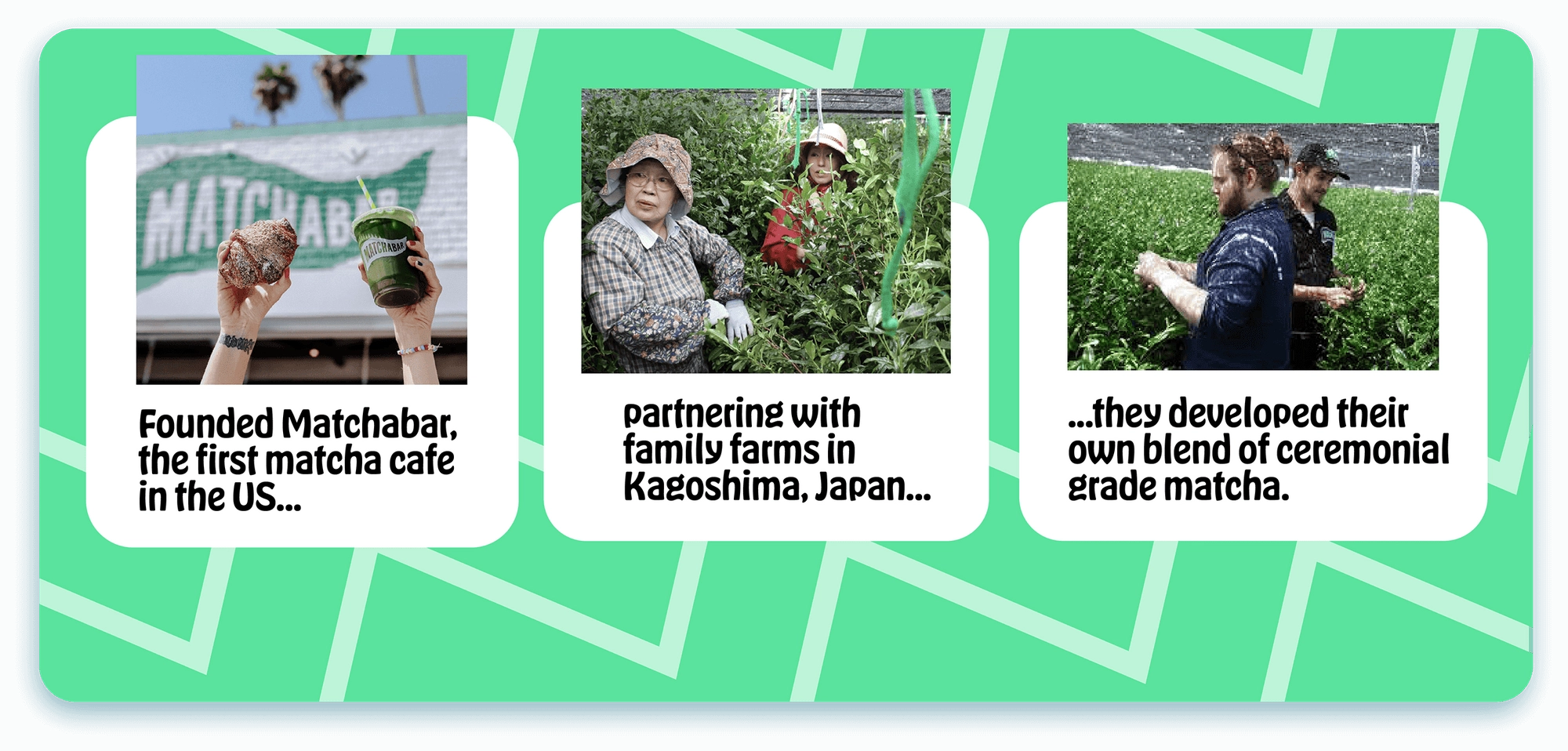 Green timeline panel with three photos of the first cafe and the farms in Japan