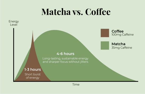 Chart comparing matcha and coffee caffeine curves over time